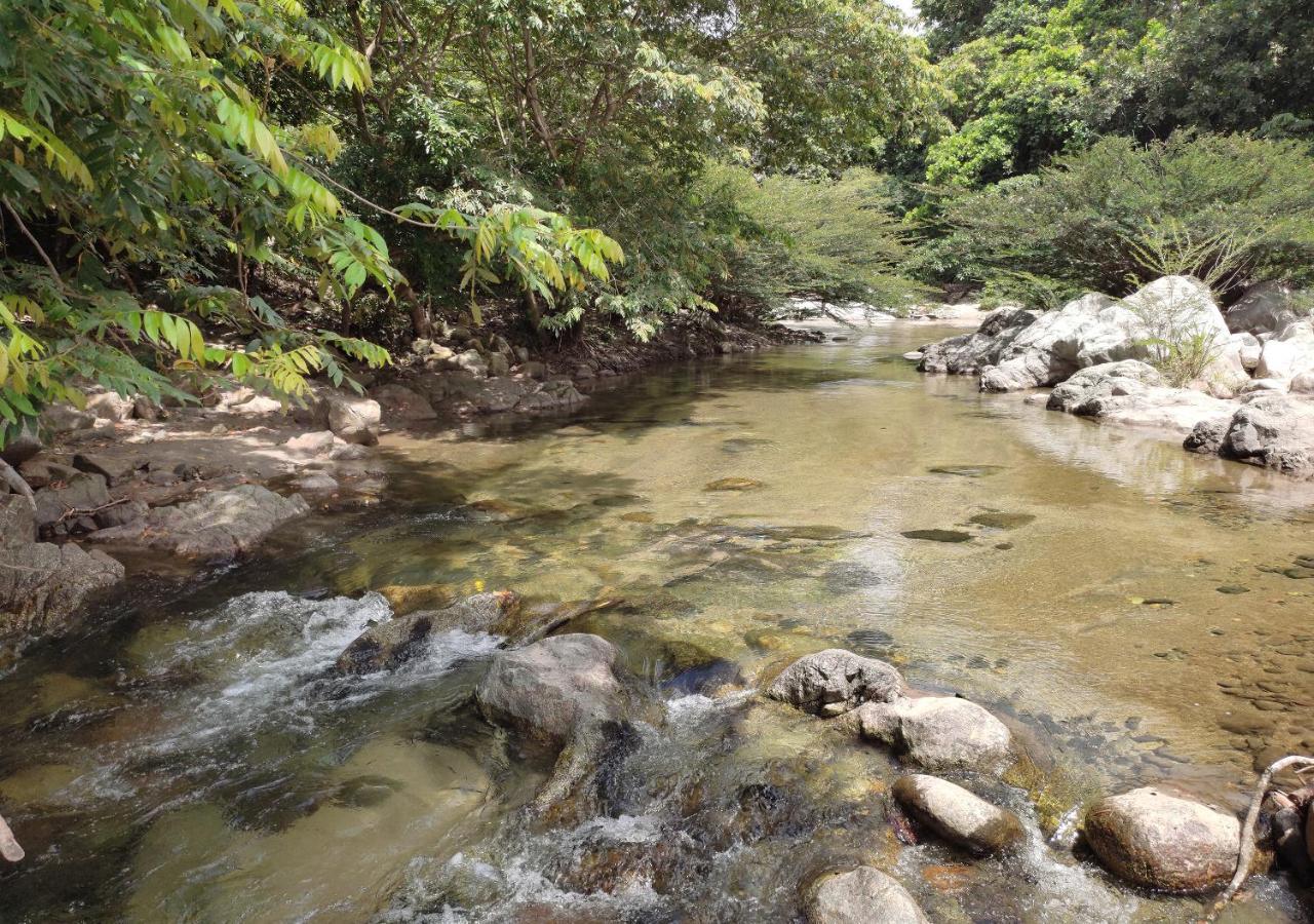Hotel Manakin Tayrona El Zaino Dış mekan fotoğraf