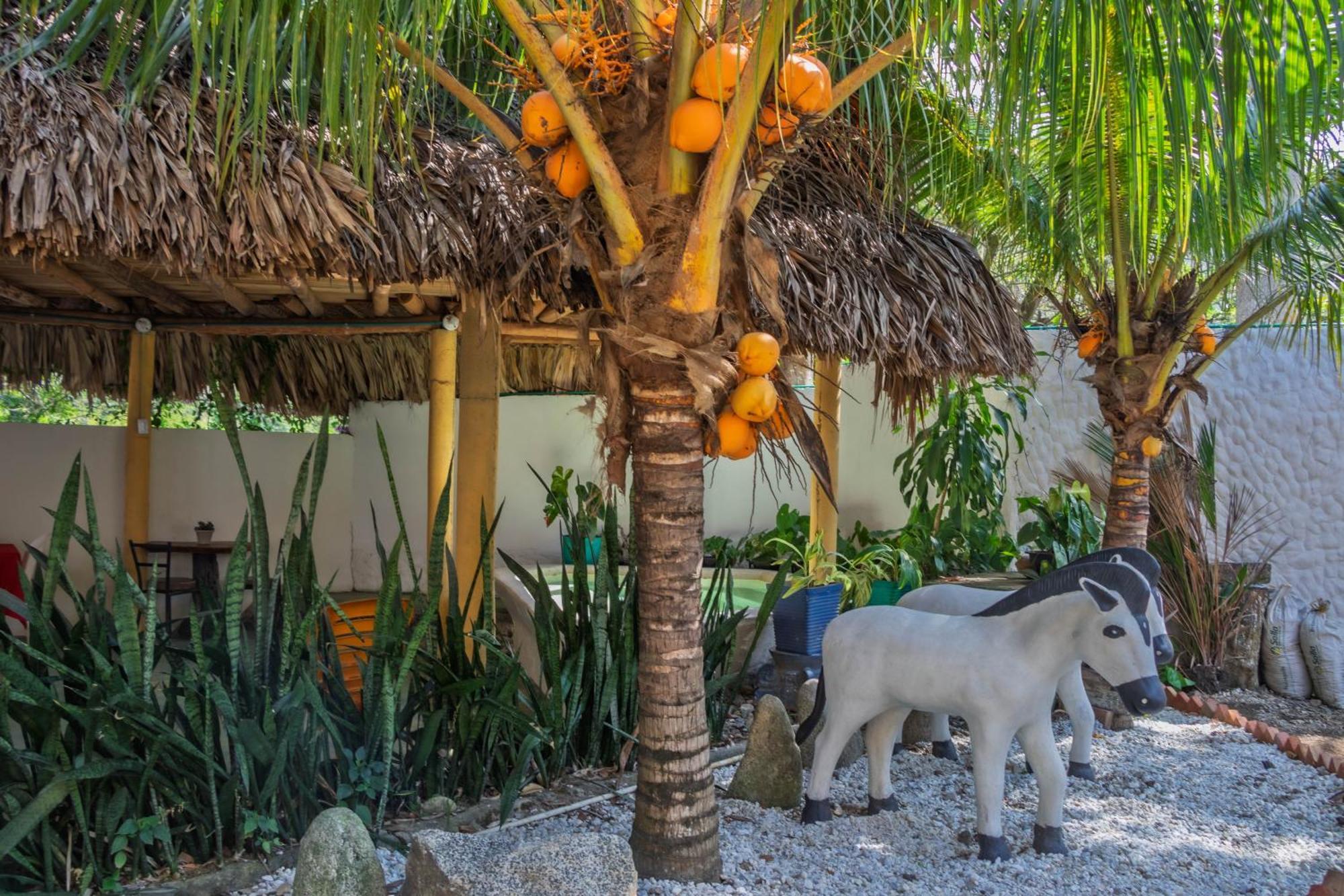 Hotel Manakin Tayrona El Zaino Dış mekan fotoğraf